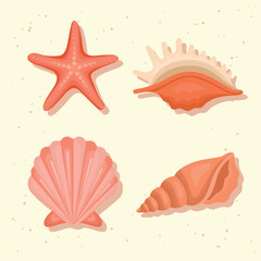 seashells and starfish - obrazy, fototapety, plakaty