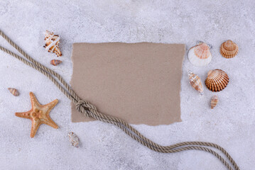Summer nautical marine background with shell