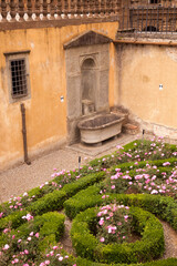 Fototapeta na wymiar Italia, Toscana, Firenze, il giardino di Boboli e Palazzo Pitti.
