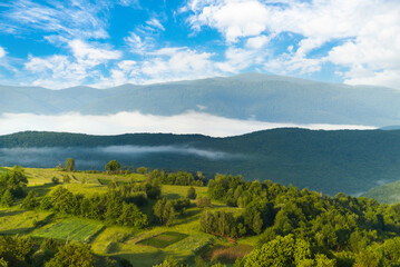 green landscape of mountains. grassy fields and forests on a hill in the fog. foggy morning in Transcarpathia. fog in the valley. sky with clouds. natural background.