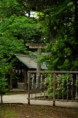 Fototapeta na wymiar 東京赤坂にある氷川神社の境内