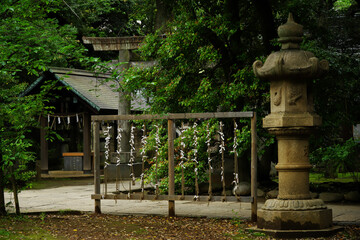 東京赤坂にある氷川神社の境内