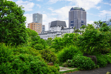 新緑と街の風景