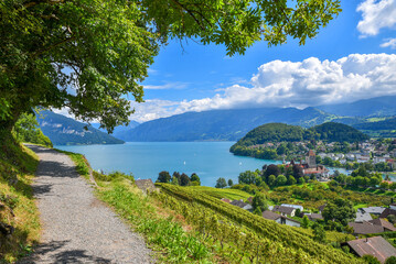 idyllic hiking trail above Rebberg vineyard, view to historic castle Spiez and lake Thunersee...