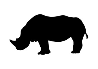 graphics drawing Silhouette of a rhino vector illustration isolated white background