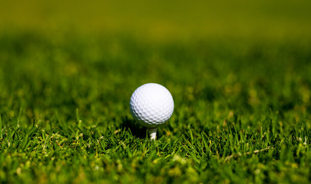 Golf ball is on tee on green grass background. Golf ball close-up in soft focus at grass. Sport golf background with copy space.