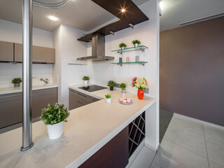 Modern interior of kitchen in luxury studio apartment.
