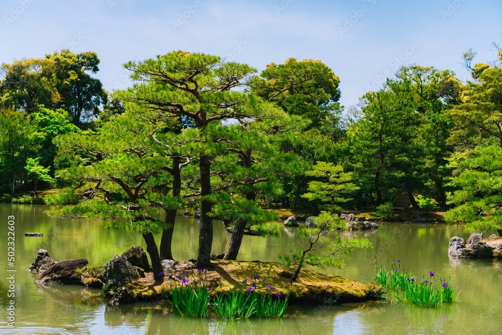 Wall mural lake in the park