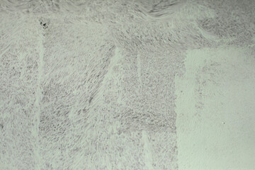 Paint texture. Dusty surface.