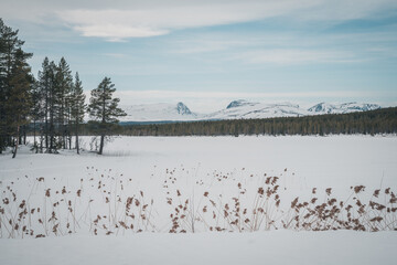View to Storådörren in Sweden Jämtland (Lapland). Reeds over snow in the foreground. Mountains...