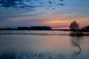 Silhouettes of trees at sunset. Dramatic evening landscape, high water. The sunset sky is reflected in the water. The river overflowed its banks.