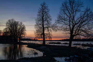 Silhouettes of trees at sunset. Dramatic evening landscape, high water. The sunset sky is reflected in the water. The river overflowed its banks.