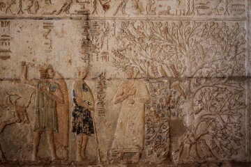 The interior inscriptions inside the tomb of petosiris the priest of Thoth showing daily life in Minya in Egypt