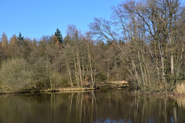 Fototapeta na wymiar Frühling am Fluss Lehrde im Dorf Stellichte, Niedersachsen