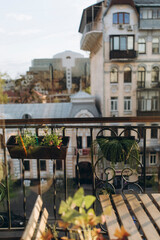 urban balcony with potted plants. balcony with flowers. balcony with sun glare and rainbow.