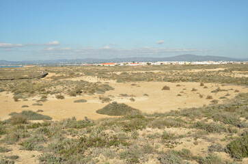 Dunes and beach on Culatra Island near Olhao, Algarve - Portugal 