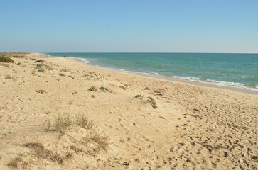 Fototapeta na wymiar Dunes and beach on Culatra Island near Olhao, Algarve - Portugal 