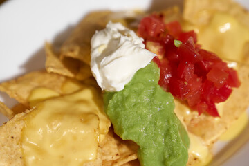 チーズ、アボカド、トマトソースのかかったトルティーヤチップス