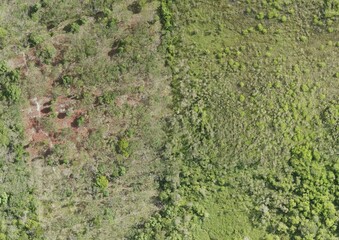 Top View Aerial Photograph of Grassland