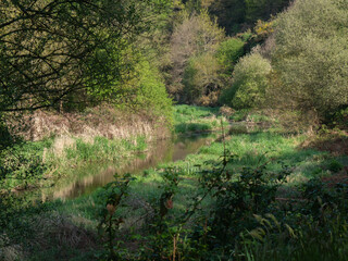 Fototapeta premium THE green nature of spring