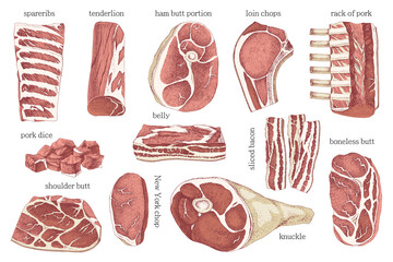 Hand drawn Natural cutting pork meat elements set