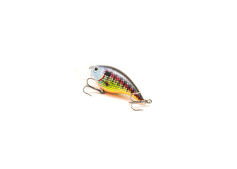 Vibrant shad crank bait fishing lure with sharp hooks and natural movement isolated on white...
