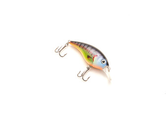 Vibrant shad crank bait fishing lure with sharp hooks and natural movement isolated on white...