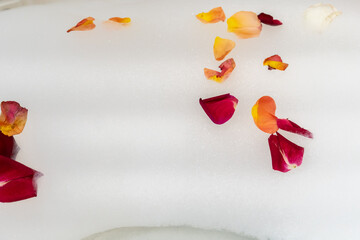 Multicoloured rose petals scattered on white bath bubbles, close up.