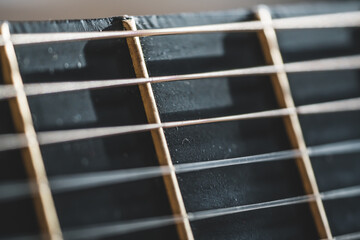 Guitar Strings and Fretboard, Close up Macro.