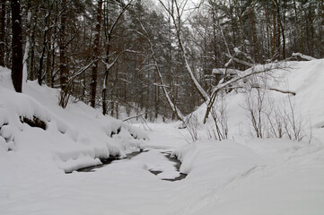 A stream in the winter forest.