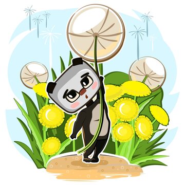 Little Teddy panda Bear flies on dandelion. Funny comic baby animal. Summer meadow with flowers. Cute cartoon style. Children clip art illustration isolated on white background. Vector