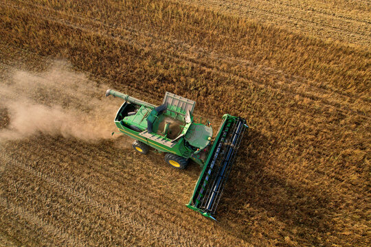 John Deere combine harvester working on harvesting rapeseed. Farm Harvest season in rural. Harvester for agriculture work. Harvesting oil seed rape (canola). Russia, Smolensk, Sept 12, 2021.