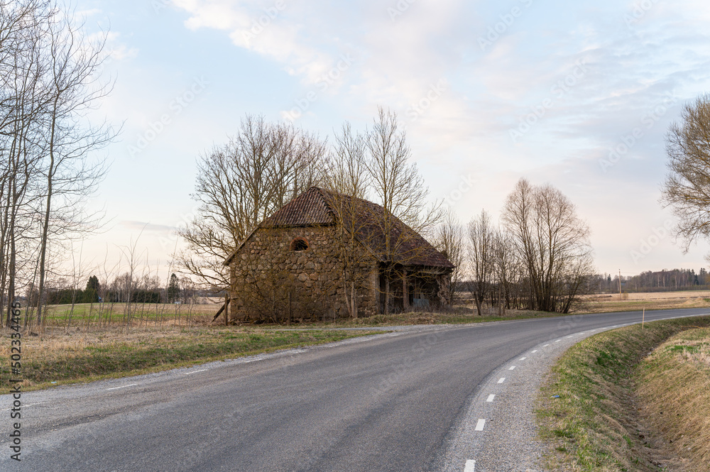 Wall mural road in the countryside