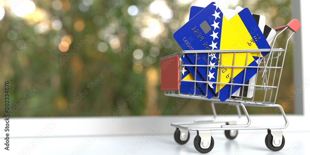 Poster credit card mockups with flags of bosnia in a small shopping cart. 3d rendering