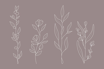 Set of plants and flowers. Hand-drawn floral elements. Vector illustration