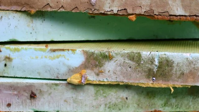 Waste, Styrofoam on construction site.