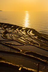 石川県　能登　白米千枚田