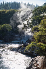 Steaming pond in Roturoa, New Zealand, embedded into lush green forest and bushes with the morning...