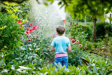 Beautiful little school kid boy watering garden flowers with water hose on summer day. Happy child...