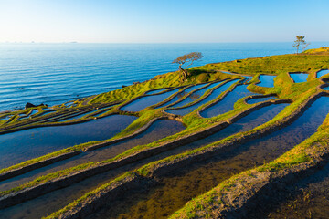石川県　能登　白米千枚田