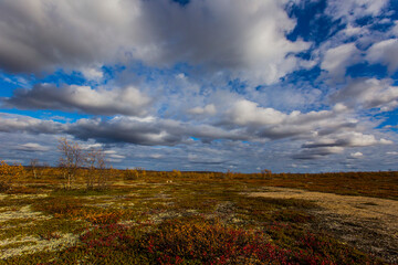 Autumn landscape in tundra, northern Norway. Europe