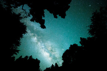 Milky way in El Pilar forest, La Palma Island, Canary Islands, Spain