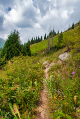Fototapeta premium path in the mountains