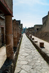 Paestum, Naples, Campania, Italy. Details from the ash buried roman city.