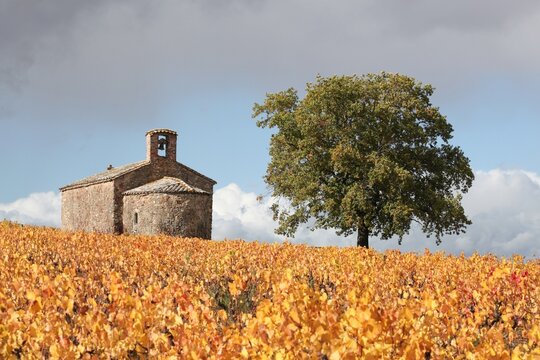 Autumnal landscape with the chapel Saint-Pierre in Beaujolais, France