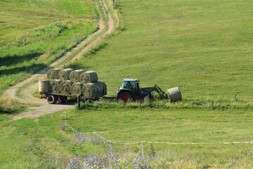 Tractor driving hay fresh bale on the field.