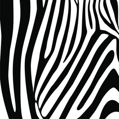 Zebra Motifs Pattern. Vector Illustration