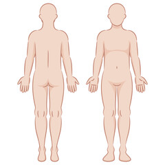 カラーの人体イラスト/男性