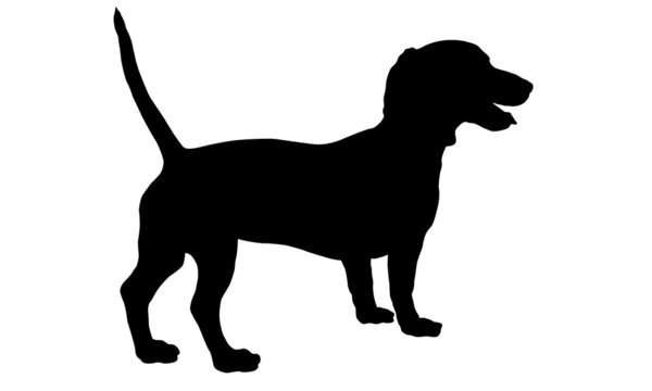 Standing dachshund puppy. Black dog silhouette. Wiener dog or sausage dog. Pet animals. Isolated on a white background.