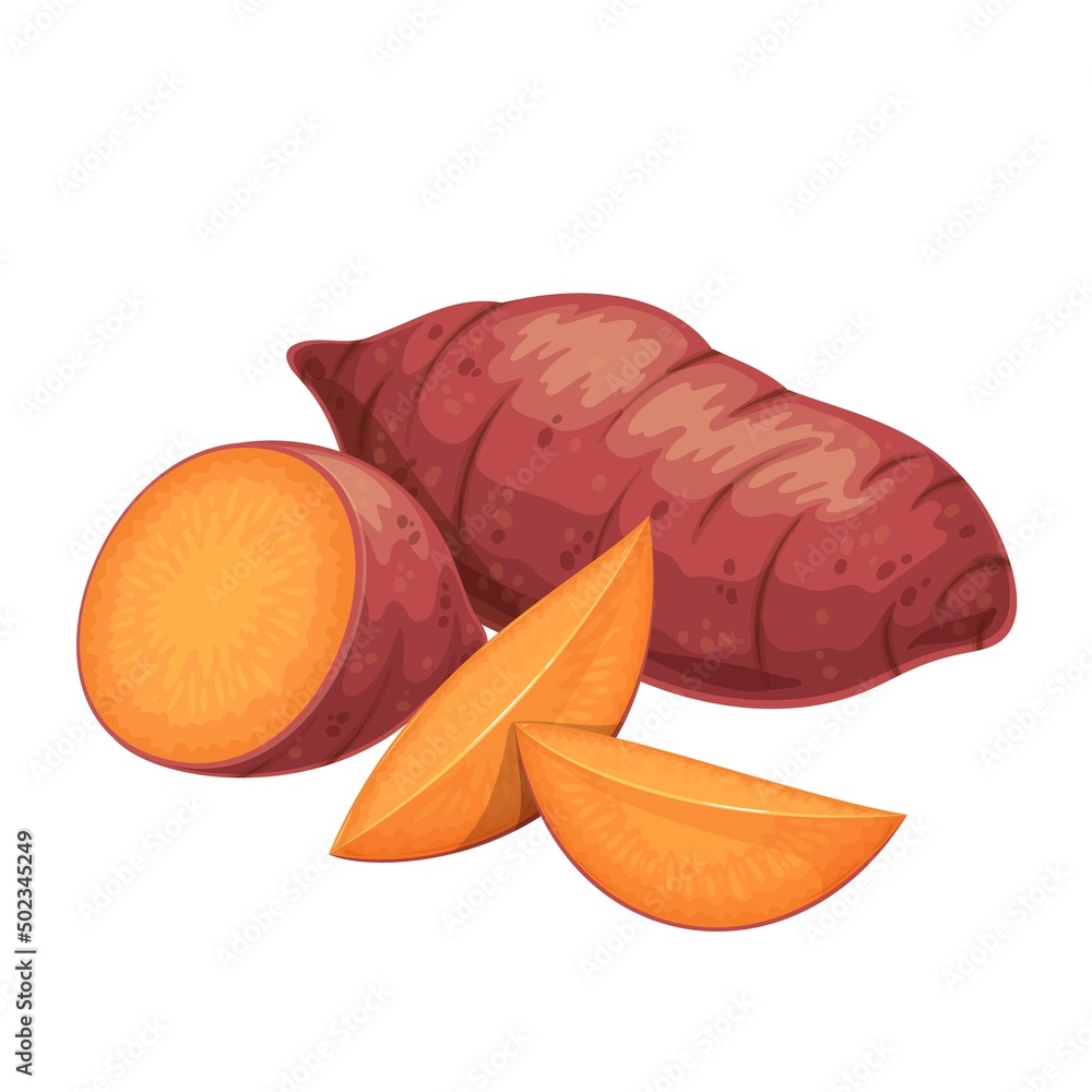 Wall mural Sweet potato. Batat cut circles, sliced to sticks. Yam sliced to cubes. Vector illustration of vegetable sweet potatoes. - Wall murals